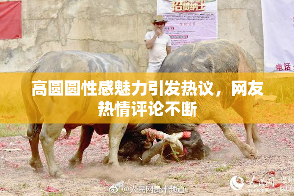 高圆圆性感魅力引发热议，网友热情评论不断