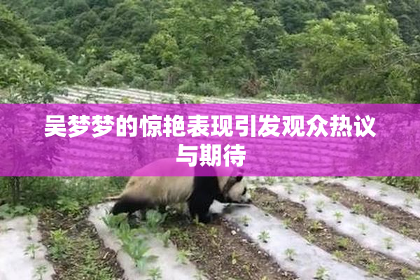 吴梦梦的惊艳表现引发观众热议与期待