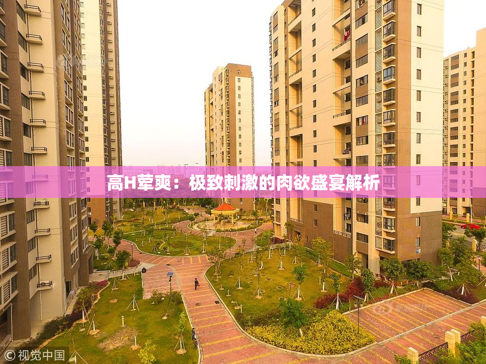 高H荤爽：极致刺激的肉欲盛宴解析