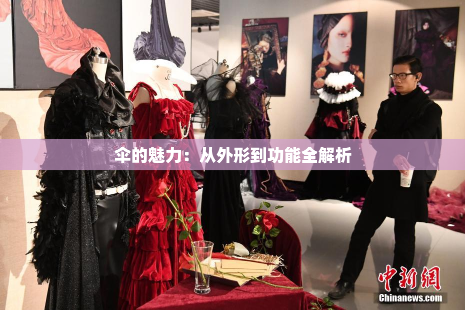 伞的魅力：从外形到功能全解析