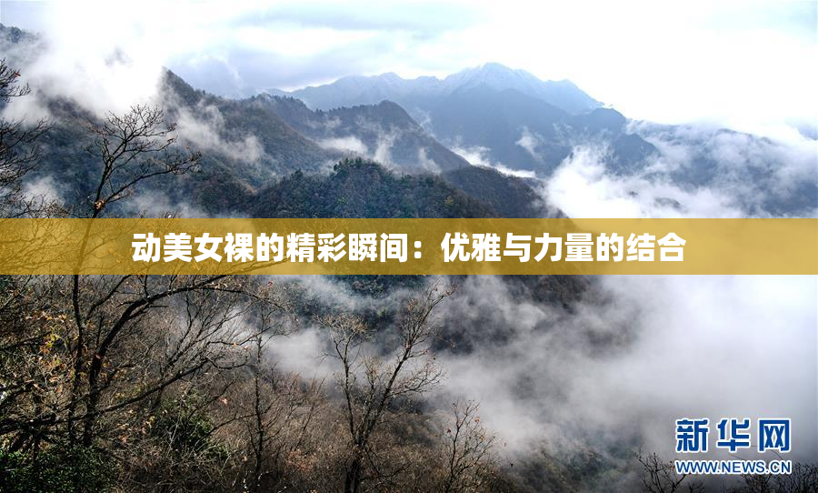 动美女裸的精彩瞬间：优雅与力量的结合
