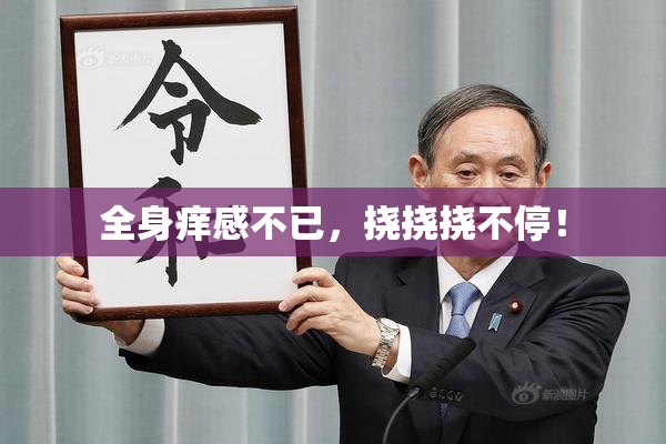 全身痒感不已，挠挠挠不停！