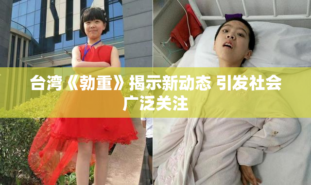 台湾《勃重》揭示新动态 引发社会广泛关注