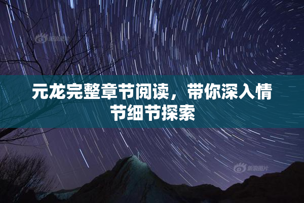元龙完整章节阅读，带你深入情节细节探索