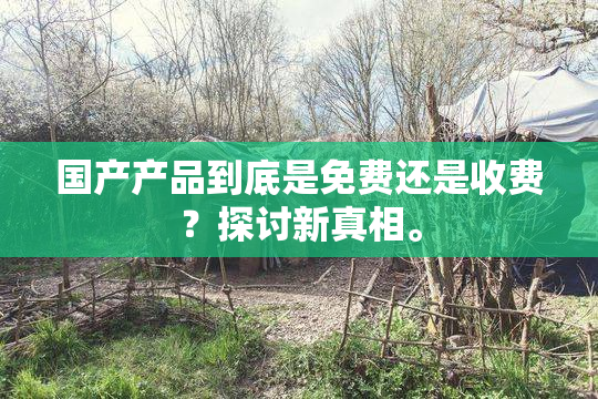 国产产品到底是免费还是收费？探讨新真相。