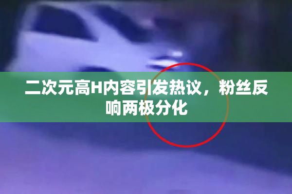 二次元高H内容引发热议，粉丝反响两极分化