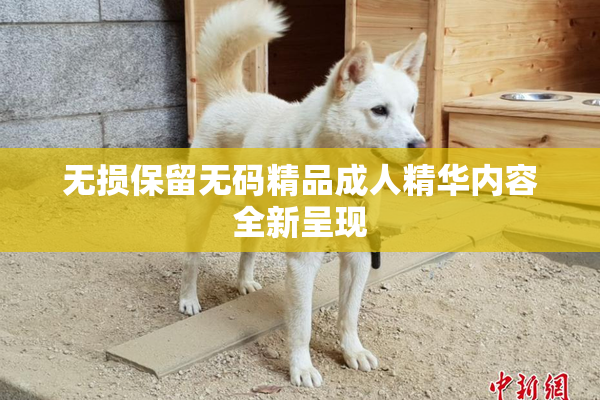 无损保留无码精品成人精华内容全新呈现