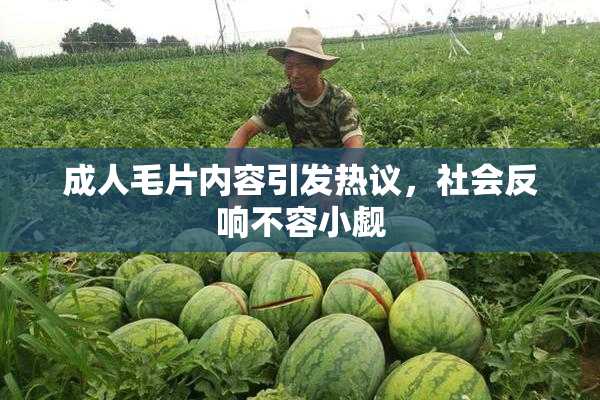 成人毛片内容引发热议，社会反响不容小觑