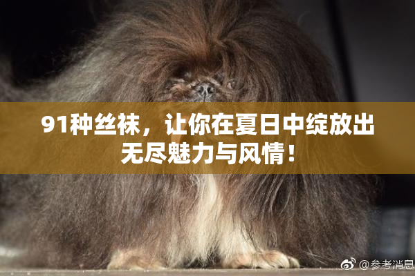 91种丝袜，让你在夏日中绽放出无尽魅力与风情！