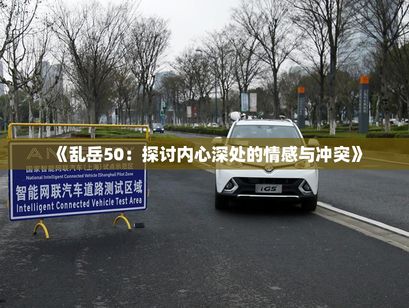 《乱岳50：探讨内心深处的情感与冲突》