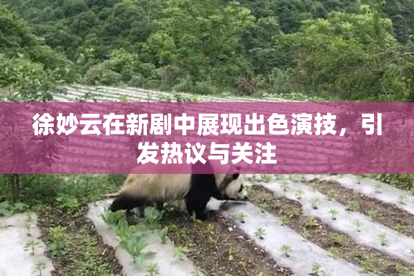 徐妙云在新剧中展现出色演技，引发热议与关注
