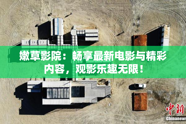 嫩草影院：畅享最新电影与精彩内容，观影乐趣无限！