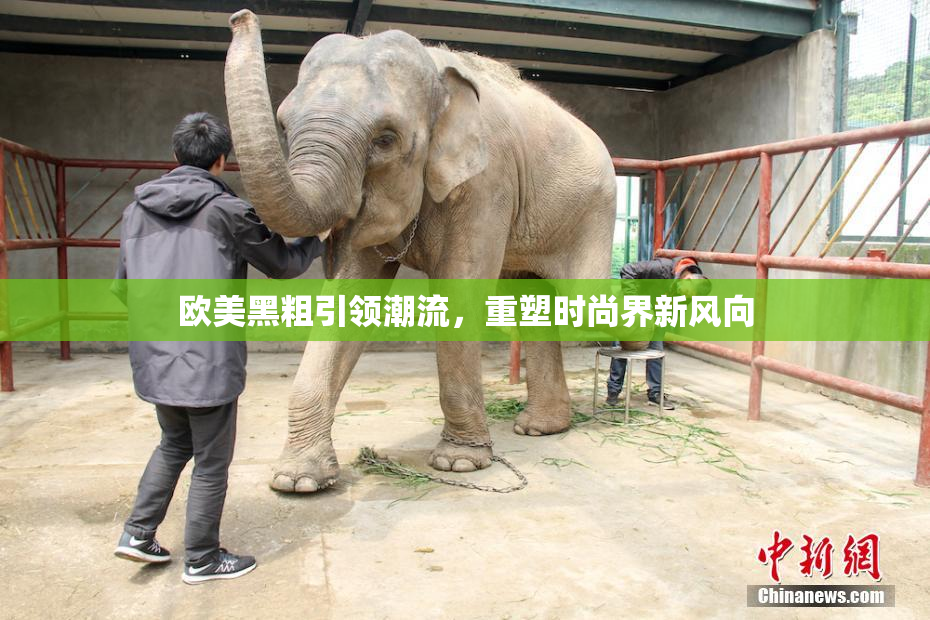 欧美黑粗引领潮流，重塑时尚界新风向