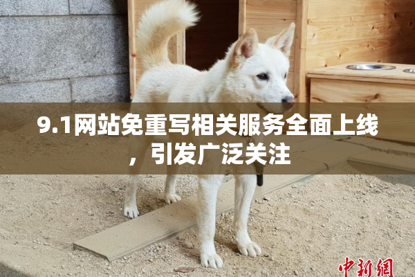 9.1网站免重写相关服务全面上线，引发广泛关注