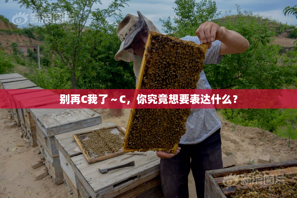 别再C我了～C，你究竟想要表达什么？
