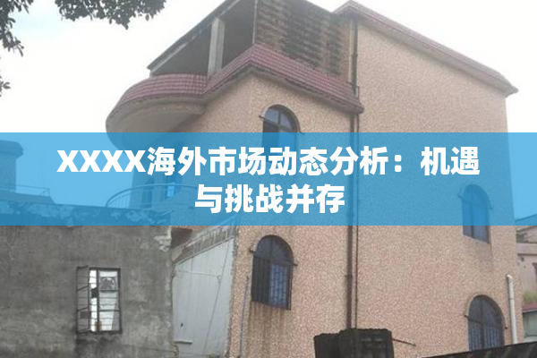 XXXX海外市场动态分析：机遇与挑战并存