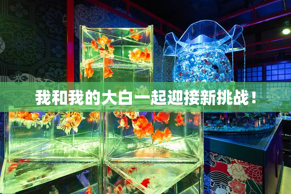 我和我的大白一起迎接新挑战！