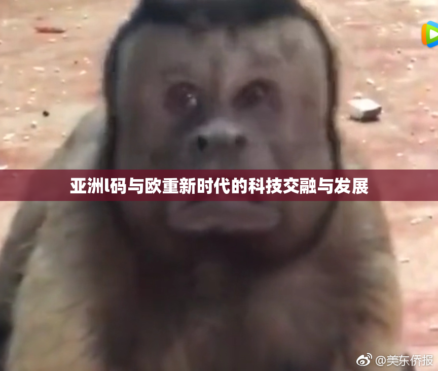亚洲l码与欧重新时代的科技交融与发展