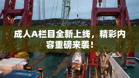 成人A栏目全新上线，精彩内容重磅来袭！