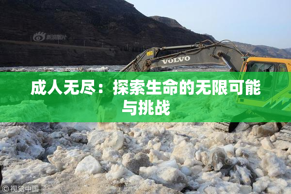 成人无尽：探索生命的无限可能与挑战