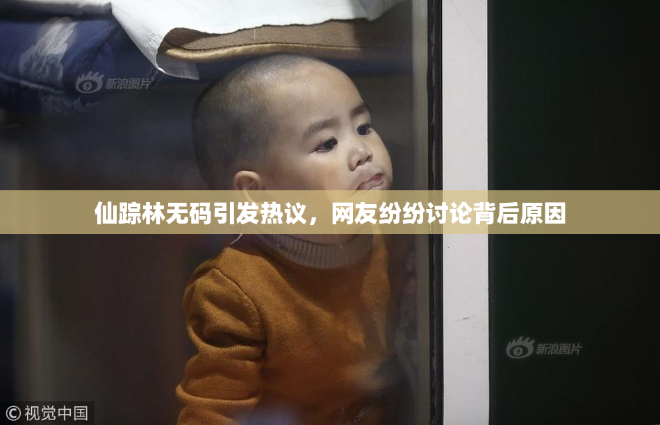 仙踪林无码引发热议，网友纷纷讨论背后原因
