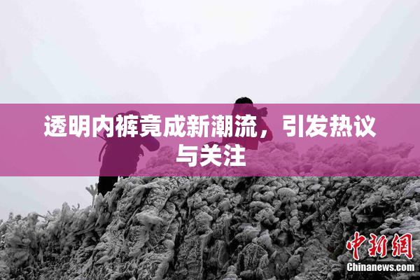 透明内裤竟成新潮流，引发热议与关注