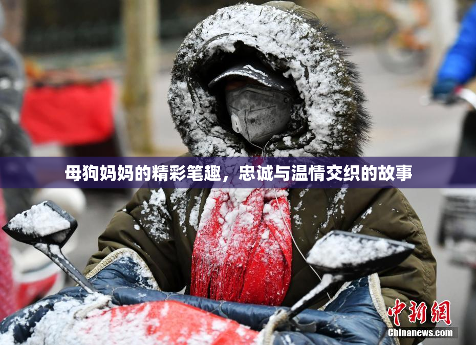 母狗妈妈的精彩笔趣，忠诚与温情交织的故事