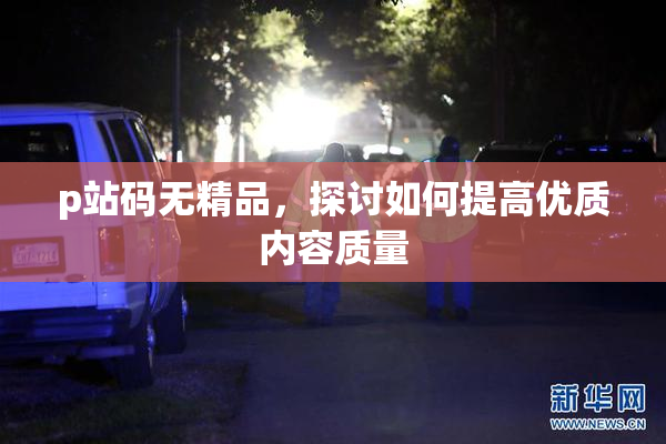 p站码无精品，探讨如何提高优质内容质量