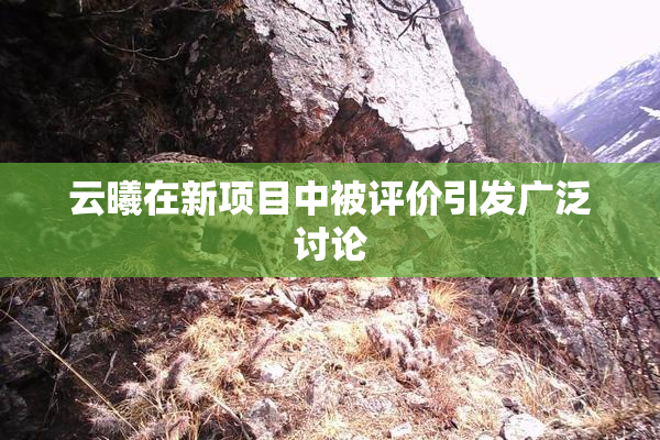 云曦在新项目中被评价引发广泛讨论