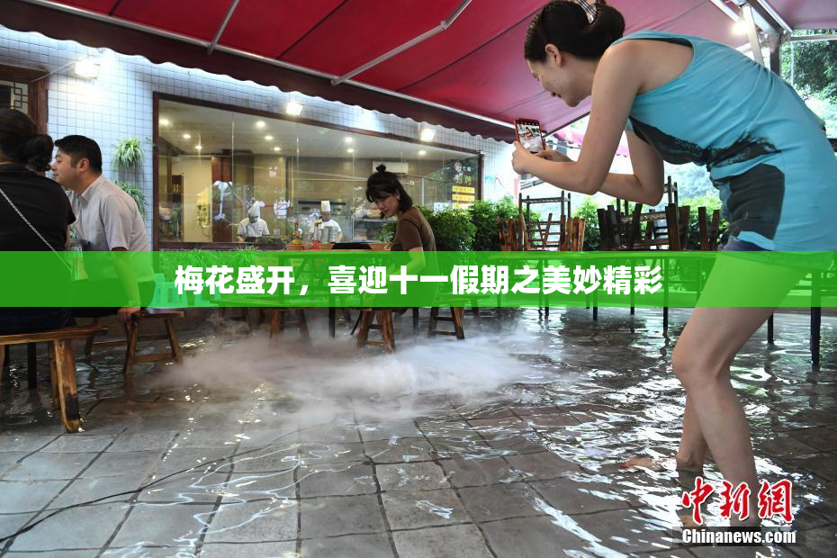 梅花盛开，喜迎十一假期之美妙精彩