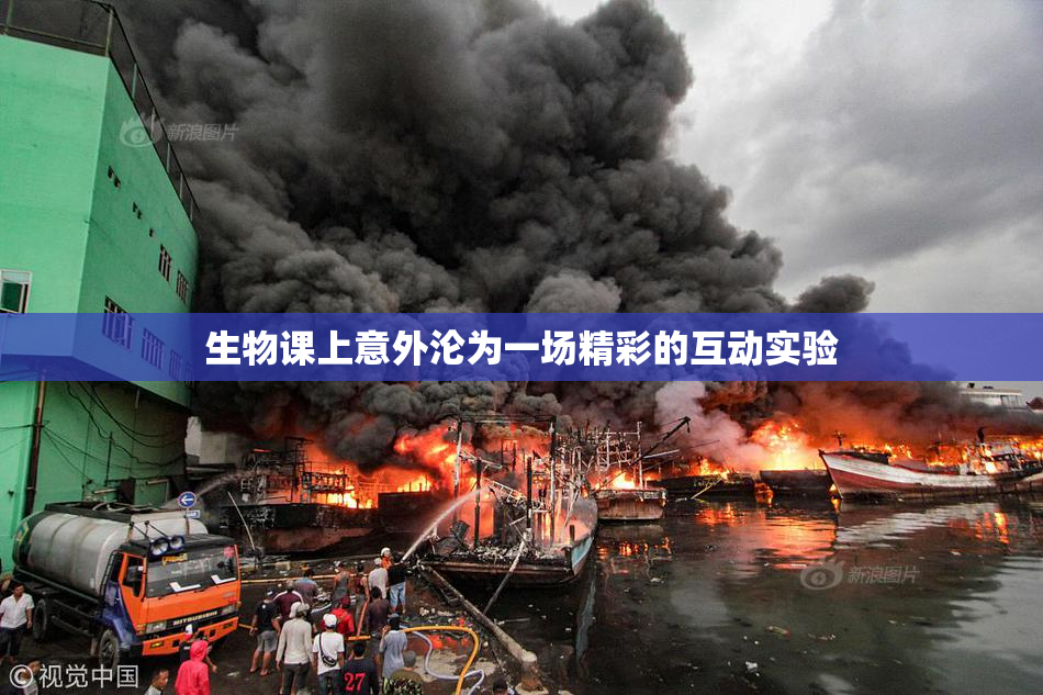 生物课上意外沦为一场精彩的互动实验