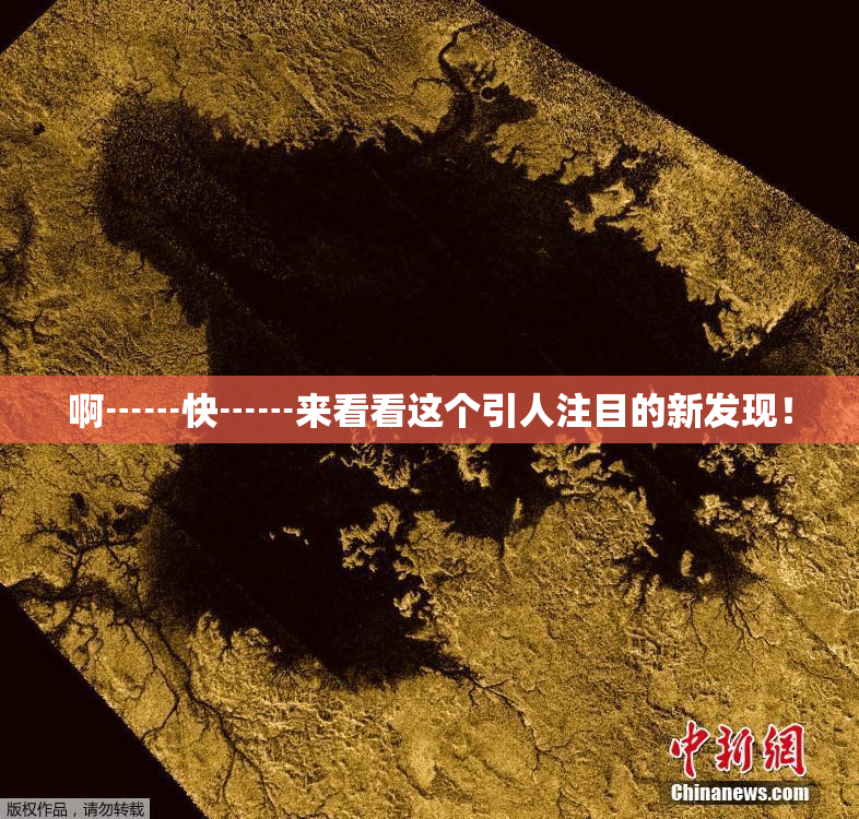 啊┅┅快┅┅来看看这个引人注目的新发现！