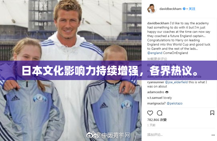 日本文化影响力持续增强，各界热议。