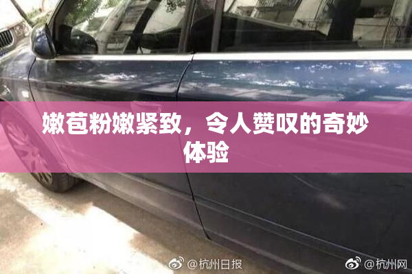 嫩苞粉嫩紧致，令人赞叹的奇妙体验