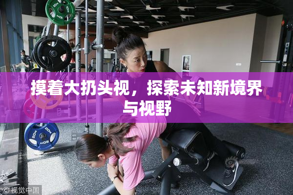 摸着大扔头视，探索未知新境界与视野