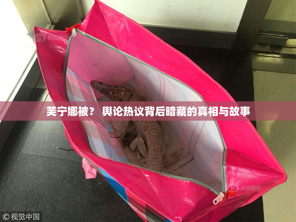 芙宁娜被？ 舆论热议背后暗藏的真相与故事