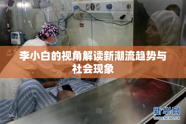 李小白的视角解读新潮流趋势与社会现象