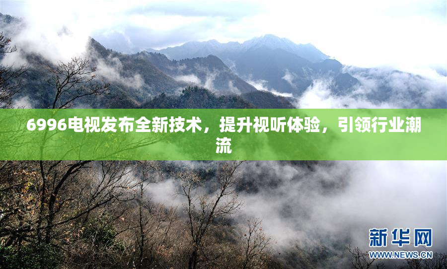 6996电视发布全新技术，提升视听体验，引领行业潮流