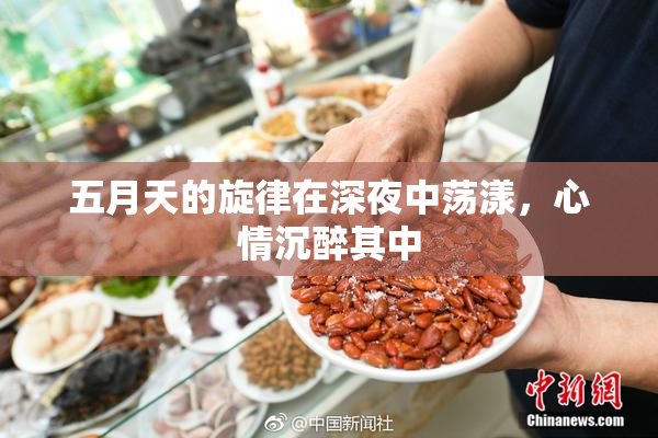 五月天的旋律在深夜中荡漾，心情沉醉其中