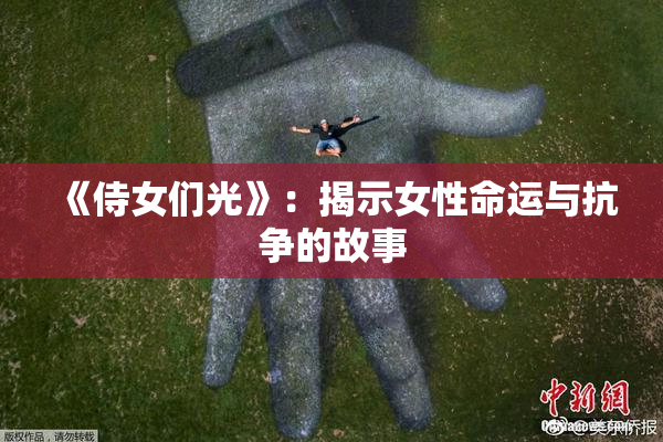 《侍女们光》：揭示女性命运与抗争的故事