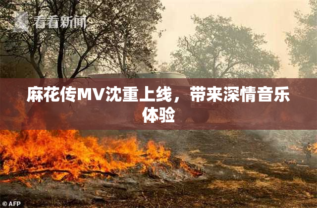 麻花传MV沈重上线，带来深情音乐体验