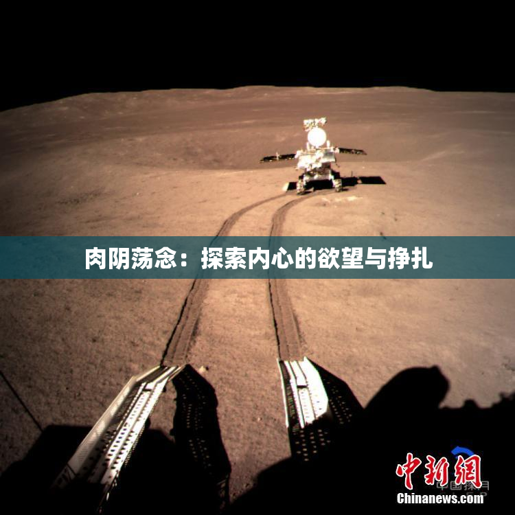 肉阴荡念：探索内心的欲望与挣扎