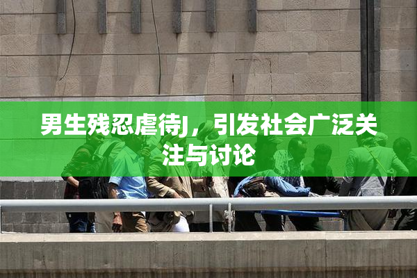 男生残忍虐待J，引发社会广泛关注与讨论
