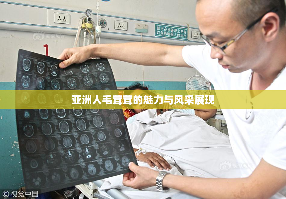 亚洲人毛茸茸的魅力与风采展现