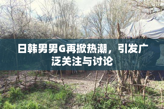 日韩男男G再掀热潮，引发广泛关注与讨论