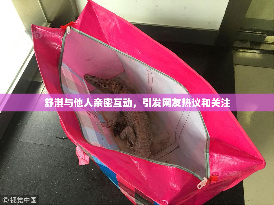 舒淇与他人亲密互动，引发网友热议和关注