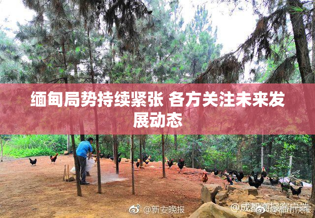 缅甸局势持续紧张 各方关注未来发展动态