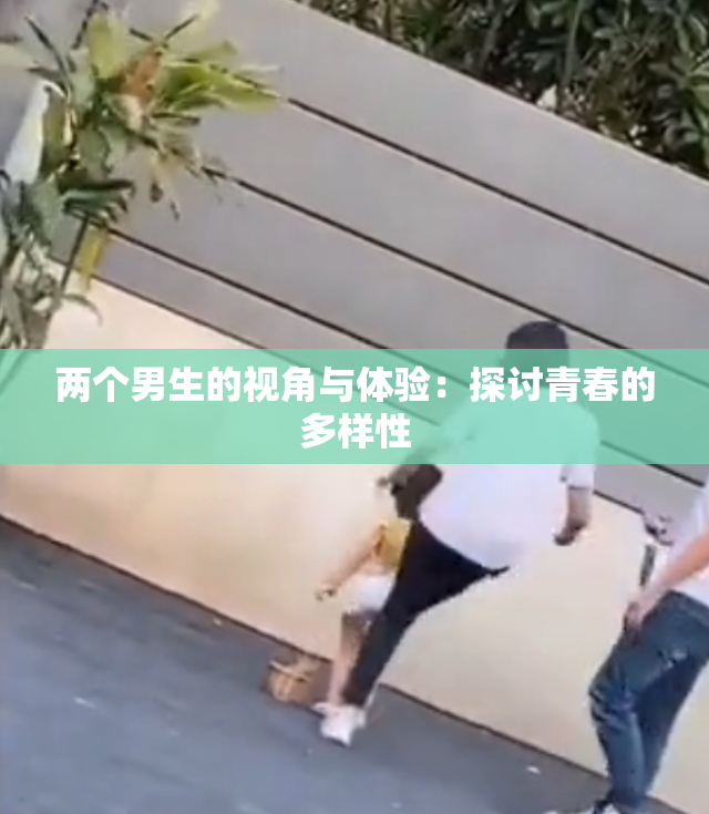 两个男生的视角与体验：探讨青春的多样性