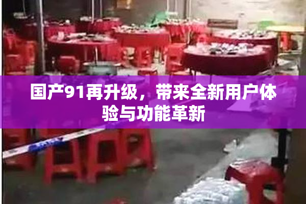 国产91再升级，带来全新用户体验与功能革新