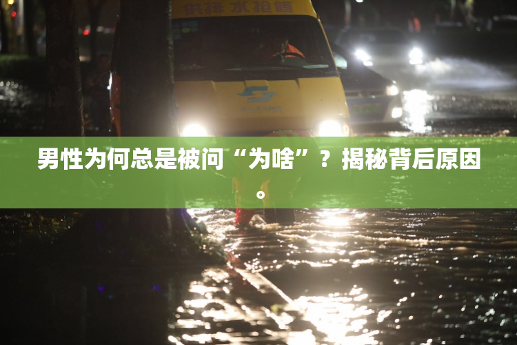 男性为何总是被问“为啥”？揭秘背后原因。